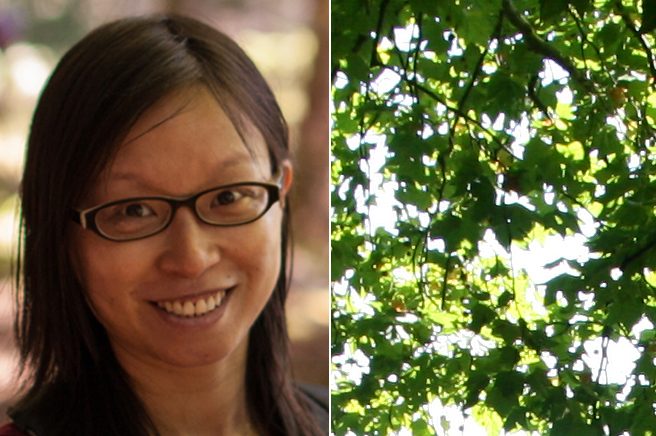 OCC appoints Dr Yue Chen to lead climate risk assessment work
