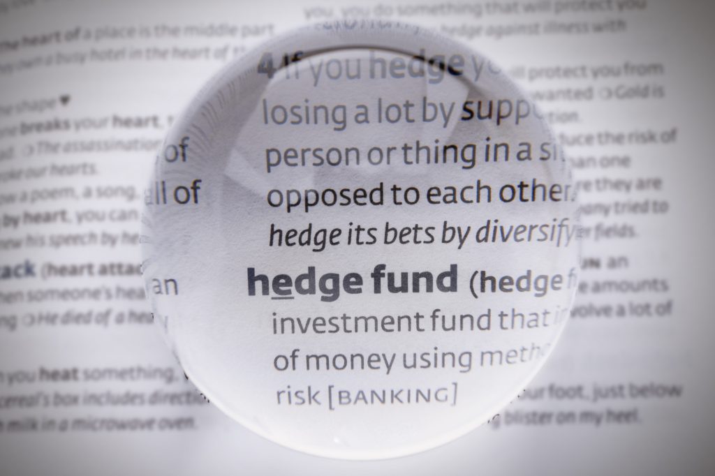 Magnified definition of hedge fund from dictionary