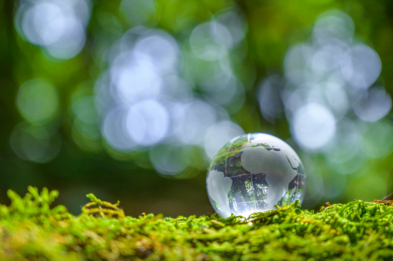 ESG less appealing as cost of living makes investors focus on returns