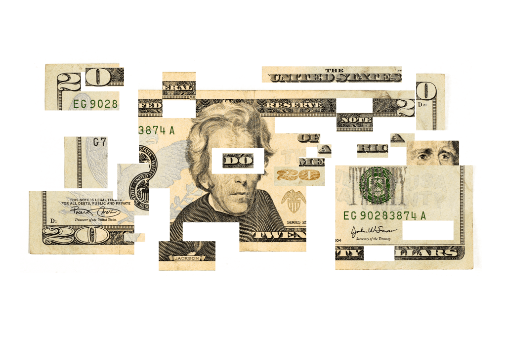 Deconstructed Twenty Dollar Bill