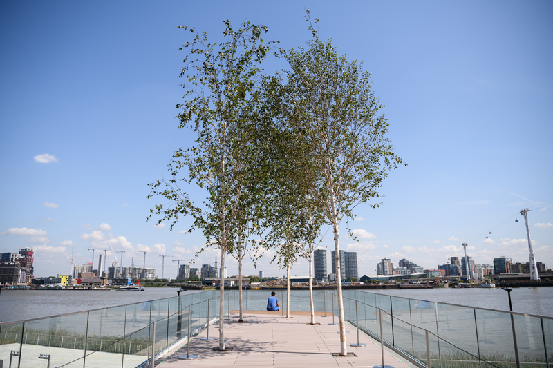 Report on green financial products aims to encourage capital flow