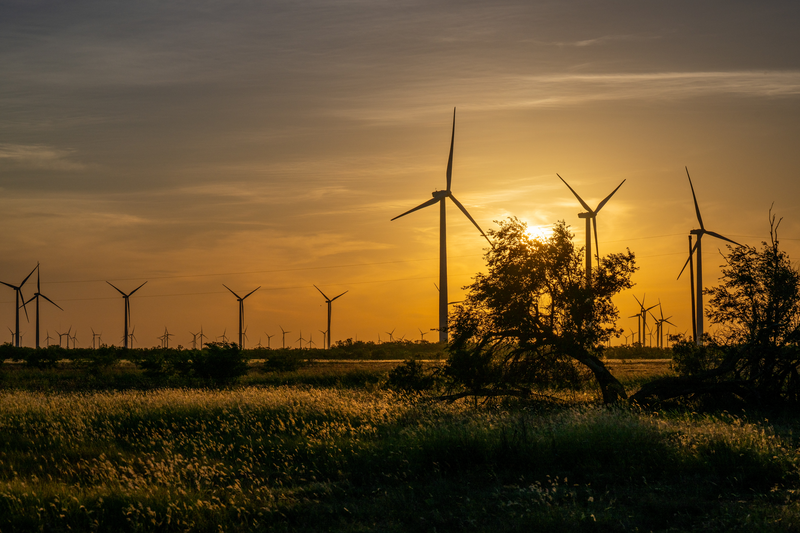 Big Tech’s bid to rewrite the rules on net zero