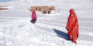 Local Hazara women walk across the snow November 18, 2003 to an old mosque destroyed by the Taliban, where Medecins Sans Frontieres has set up a mobile clinic in the Pasroia Valley in Bamiyan Province, Afghanistan.