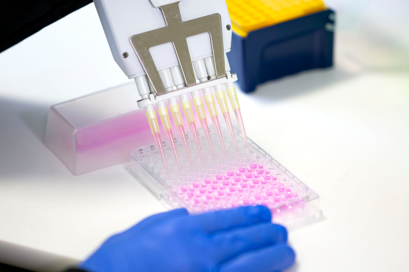 A multichannel pipette device portions out fluid for medical and pharmaceutical research and testing in Cardiff, Wales.