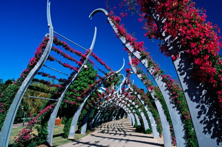 Pathway through sculptured abhor in South Bank Parklands.