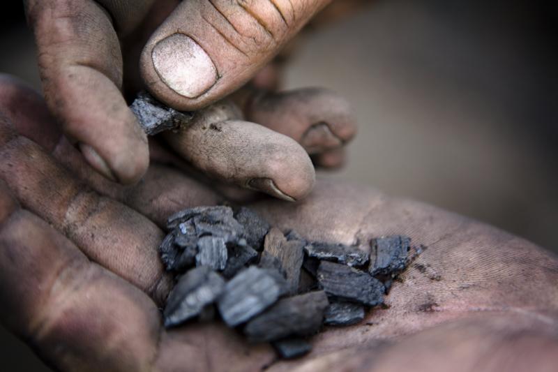 Renewing trust: The state of the voluntary carbon market in 2025