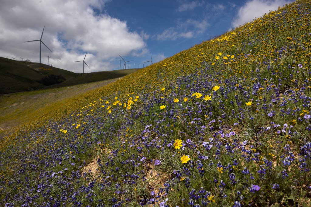 ESG corner: Forced labor finding, AI-infused climate tech, SB 261 on hold