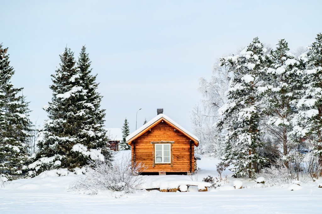 Financial sector supervision in 2026: Swedish FSA’s priorities