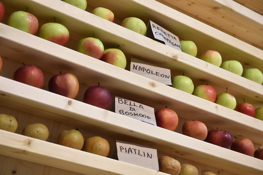 What's in a name? Part 1: Regulatory intent