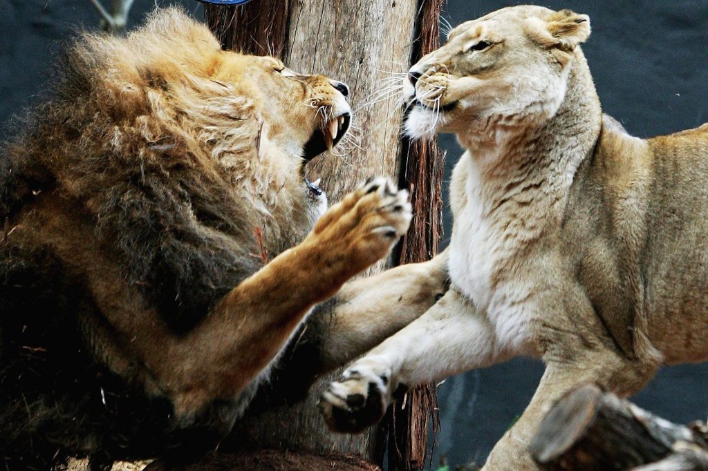 A comprehensive guide to the FCA’s new non-financial misconduct rules