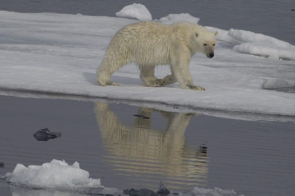 OPINION: Sustainability’s million-dollar problem