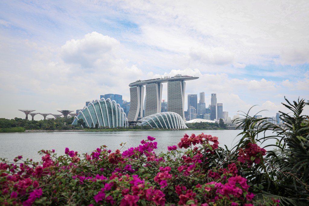Singapore launches initiative to harness AI in fight against financial crime