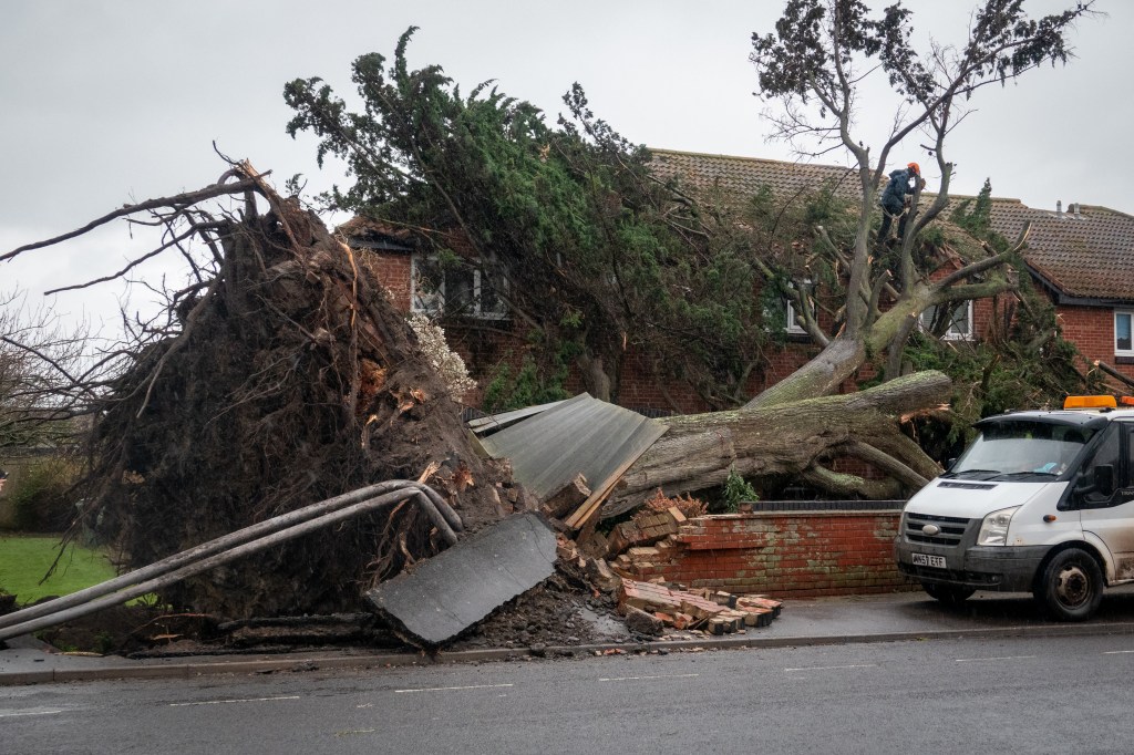 FCA to roll back climate reporting burden to save firms £20m