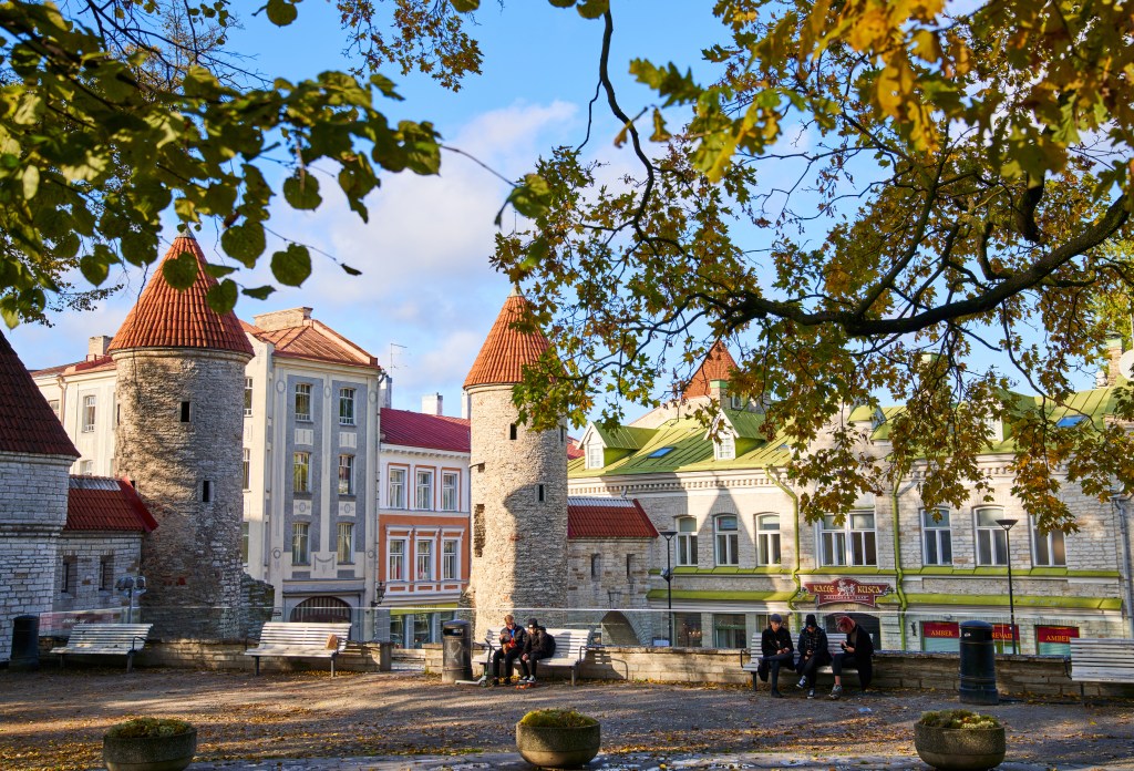 Estonia grants its first standalone CASP license under MiCA