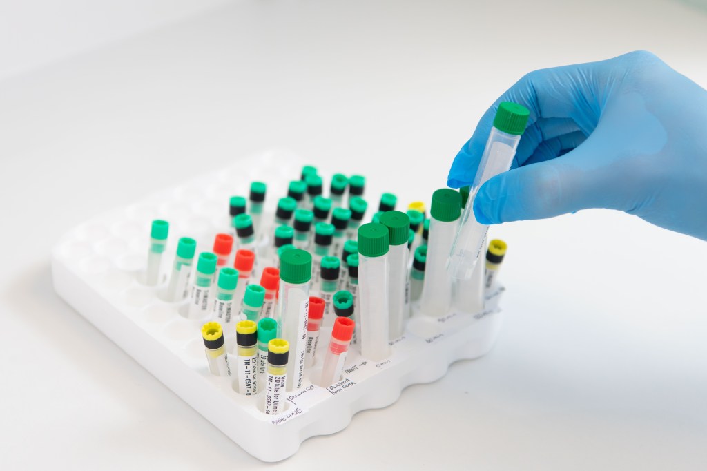 FDA issues guidance to speed cell and gene therapy development