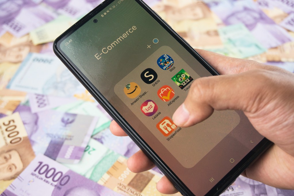 E-money and payment service authorizations decline