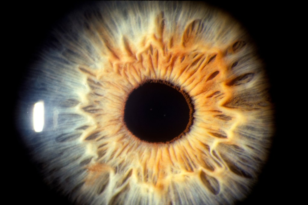 Keeping an eye on AI: The future of retail financial services