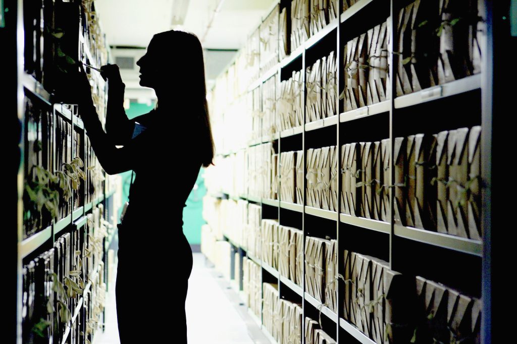 The identity archive nobody meant to build