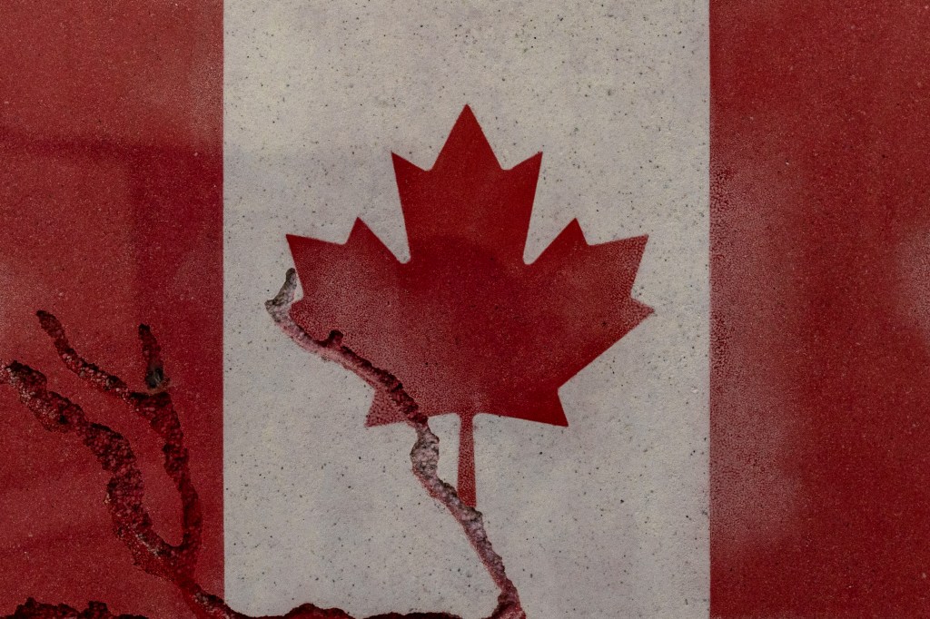 Canada seeks comments on pilot for domestically manufactured generic drugs
