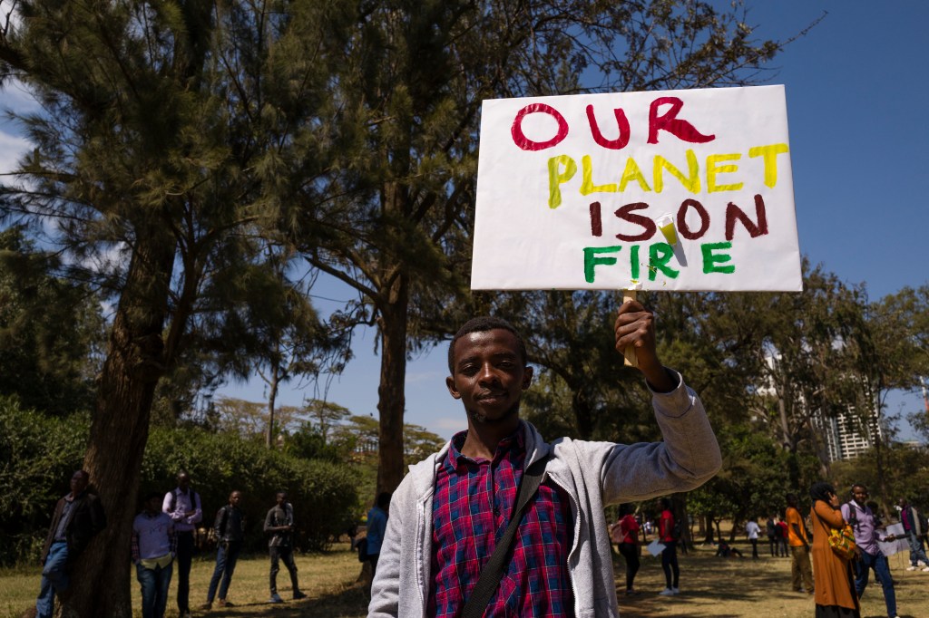 The challenges of building a global carbon market: Lessons from Kenya