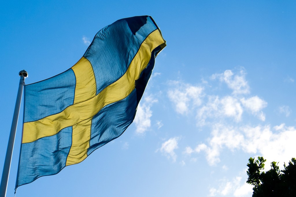 Swedish FI to embark on mapping AI use in the financial sector