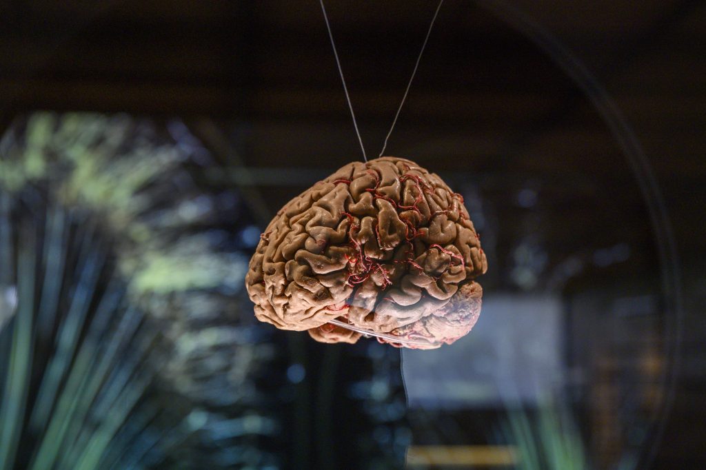 A photo of a model of a human brain with red wires around it floating behind glass with green and blue light behind it.