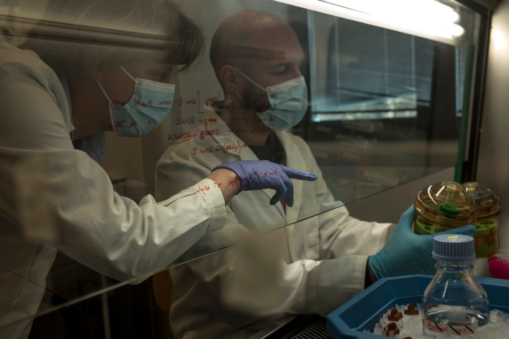 A photo of two male clinicians in a lab one holding a specimen and the other pointing at it.