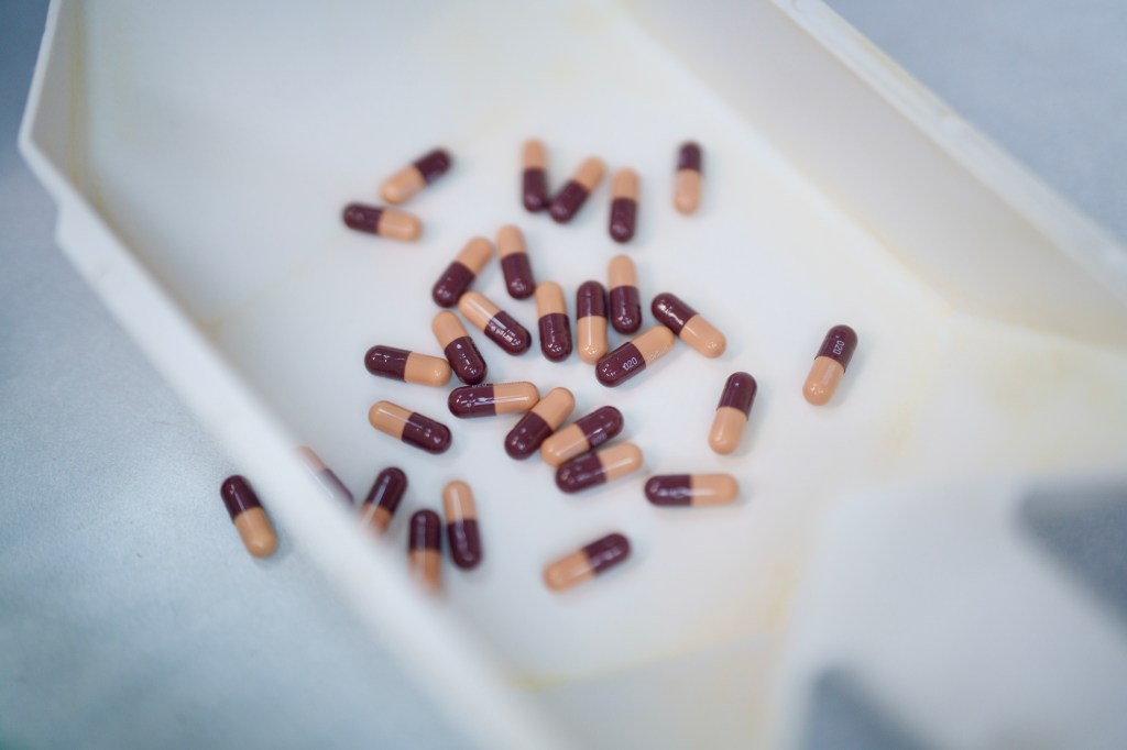 A photo of several brown and tan prescription medication capsules in a while pharmacists tray.